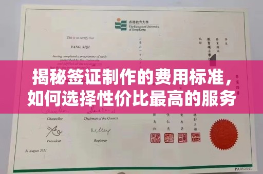 南乐揭秘签证制作的费用标准，如何选择性价比最高的服务？