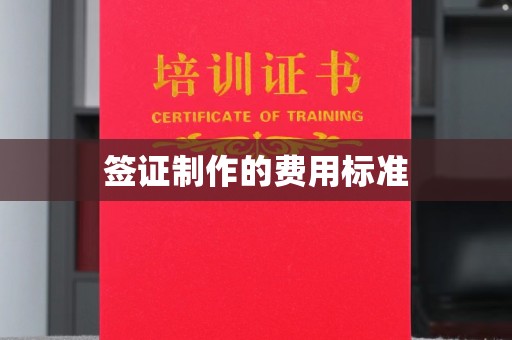 南乐签证制作的费用标准