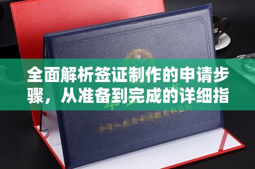 南乐全面解析签证制作的申请步骤，从准备到完成的详细指南