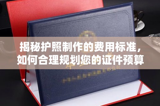 南乐揭秘护照制作的费用标准，如何合理规划您的证件预算？