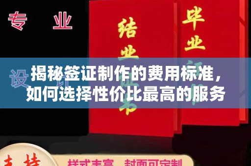 南乐揭秘签证制作的费用标准，如何选择性价比最高的服务？